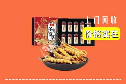 大连市西岗回收冬虫夏草