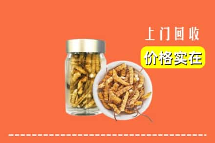 大连市西岗回收散虫草