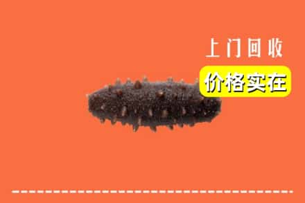 大连市西岗回收海参