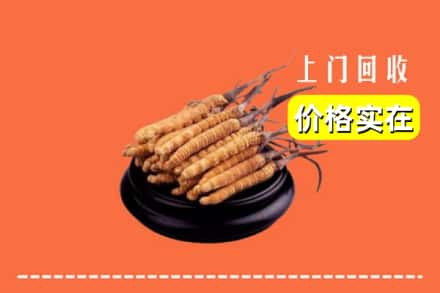 大连市西岗回收冬虫夏草